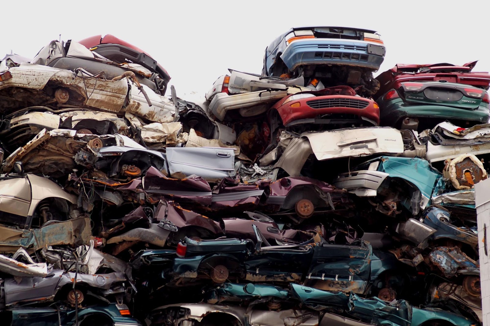 how-to-get-rid-of-a-junk-car-all-the-steps-to-take-budget-and-the-bees