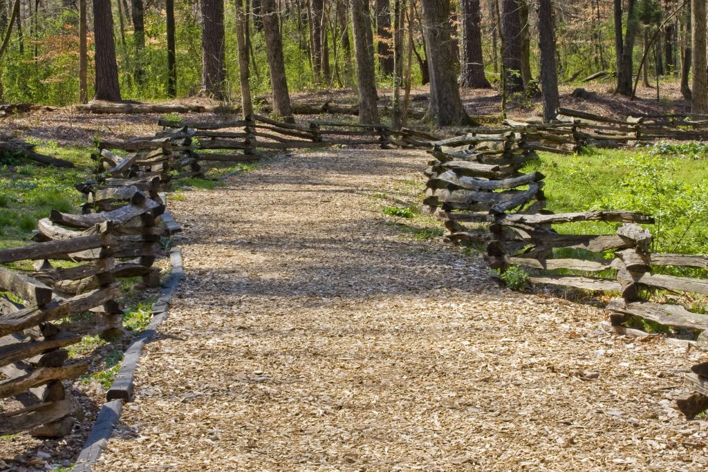 9 Virginia Trails That Will Keep You Fit Without Costing a Dime