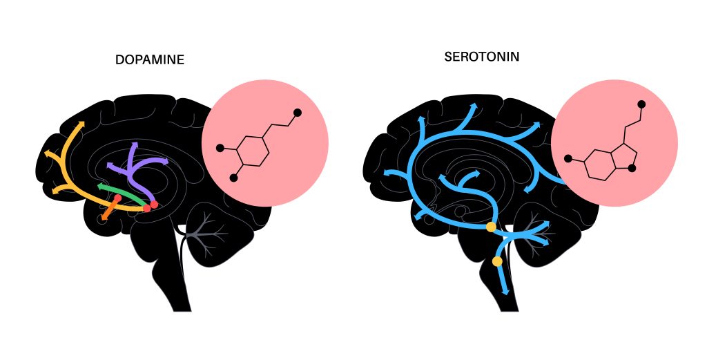 Serotonin Syndrome: Exposing the Unspoken Mental Health Danger Lurking in Your Brain